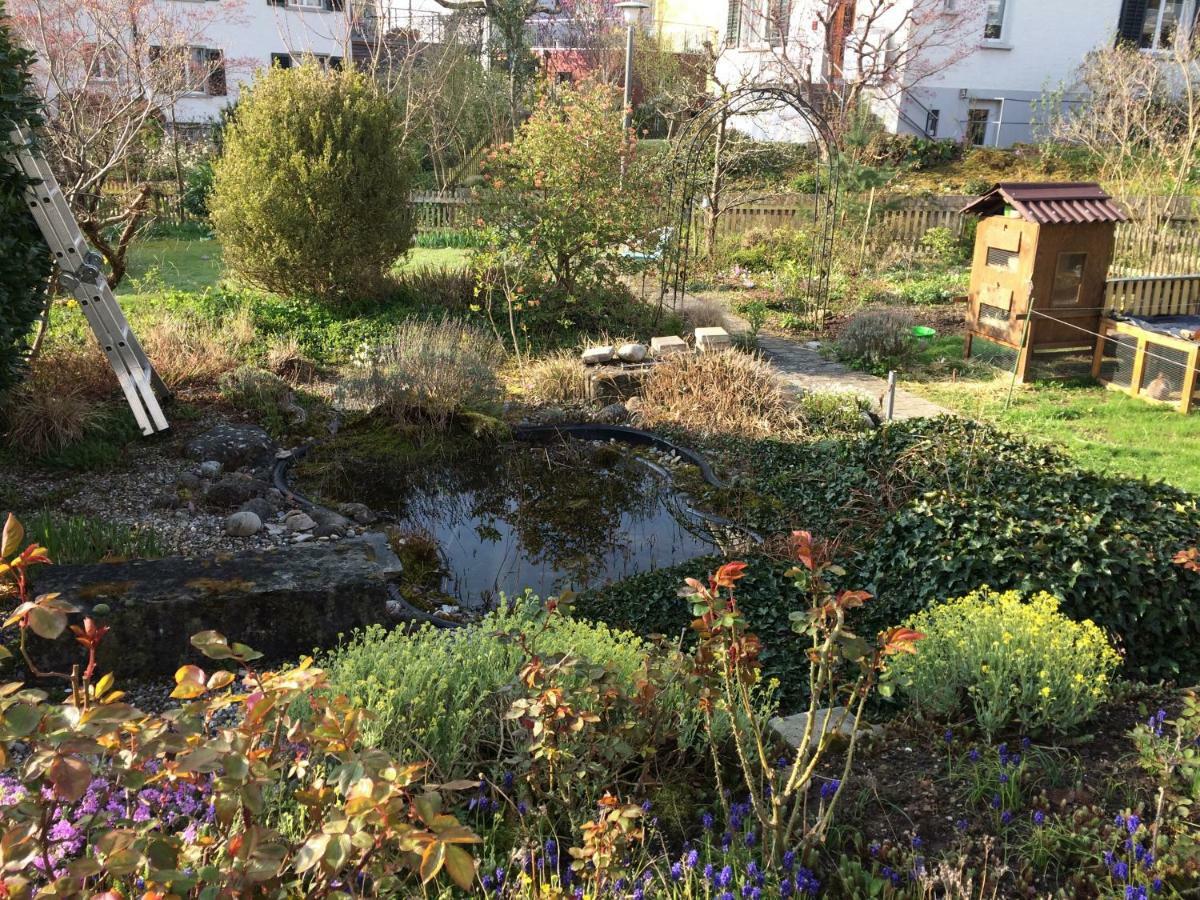 Ruhiges Gaestezimmer Winterthur Buitenkant foto